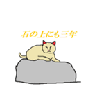 猫とことわざ（個別スタンプ：9）