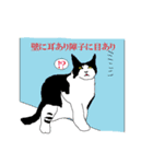 猫とことわざ（個別スタンプ：29）