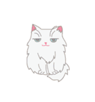 PUNGPING THE PERSIAN CAT（個別スタンプ：1）