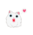 PUNGPING THE PERSIAN CAT（個別スタンプ：3）