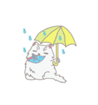 PUNGPING THE PERSIAN CAT（個別スタンプ：4）