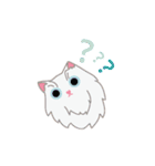 PUNGPING THE PERSIAN CAT（個別スタンプ：5）