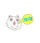PUNGPING THE PERSIAN CAT（個別スタンプ：7）