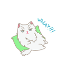 PUNGPING THE PERSIAN CAT（個別スタンプ：18）