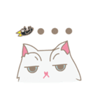 PUNGPING THE PERSIAN CAT（個別スタンプ：21）