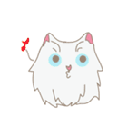 PUNGPING THE PERSIAN CAT（個別スタンプ：37）