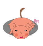 Cute Lazy Cat（個別スタンプ：13）