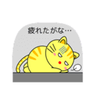 関西弁のネコ（個別スタンプ：12）