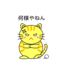 関西弁のネコ（個別スタンプ：36）