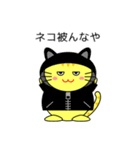関西弁のネコ（個別スタンプ：38）