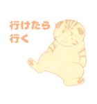 オブラートに包むネコたち（個別スタンプ：1）
