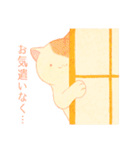 オブラートに包むネコたち（個別スタンプ：8）
