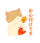 オブラートに包むネコたち（個別スタンプ：30）