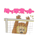 たこ焼きマンさん（スポーツ編）（個別スタンプ：28）