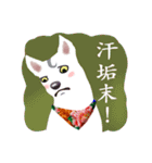 White Dog (Hakka Ver.)（個別スタンプ：16）