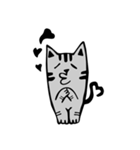 Handsome gray meow（個別スタンプ：10）