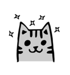 Handsome gray meow（個別スタンプ：19）