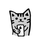 Handsome gray meow（個別スタンプ：23）