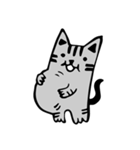 Handsome gray meow（個別スタンプ：29）