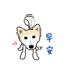 DuDu with the dog Clown（個別スタンプ：1）