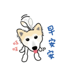 DuDu with the dog Clown（個別スタンプ：2）