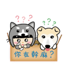 DuDu with the dog Clown（個別スタンプ：12）