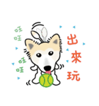 DuDu with the dog Clown（個別スタンプ：13）