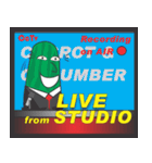Carrot and Cucumber TV Anchor（個別スタンプ：25）