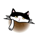 Cat is busy（個別スタンプ：11）