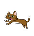 Cat is busy（個別スタンプ：13）