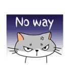 Cat is busy（個別スタンプ：22）