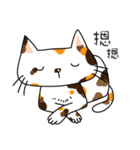 Cat is busy（個別スタンプ：23）