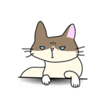 Cat is busy（個別スタンプ：25）