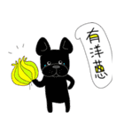 Those French Bulldog（個別スタンプ：22）