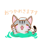 つかえる洋猫ちゃん（個別スタンプ：11）