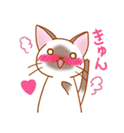 つかえる洋猫ちゃん（個別スタンプ：16）