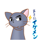 つかえる洋猫ちゃん（個別スタンプ：35）