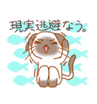つかえる洋猫ちゃん（個別スタンプ：40）