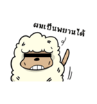 HOLY SHEEP ！（個別スタンプ：34）