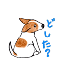 ジャックらんど（個別スタンプ：34）