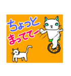 かぶり物のネコ×ねこ（個別スタンプ：13）