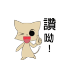 high cat（個別スタンプ：12）