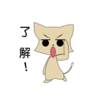 high cat（個別スタンプ：37）
