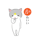 ねこダイヤかるた（個別スタンプ：6）