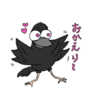 カラス代表「全力のコロ坊」（個別スタンプ：9）