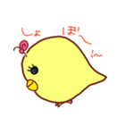 インコのピーちゃん（個別スタンプ：5）