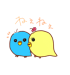 インコのピーちゃん（個別スタンプ：11）