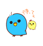 インコのピーちゃん（個別スタンプ：14）