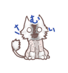 猫会話（Darume Cat's）（個別スタンプ：4）