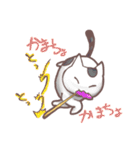 猫会話（Darume Cat's）（個別スタンプ：5）